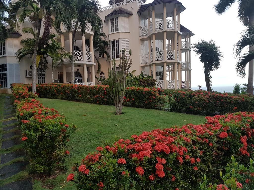 Apartamento Chill On The Hill Ocho Ríos Exterior foto